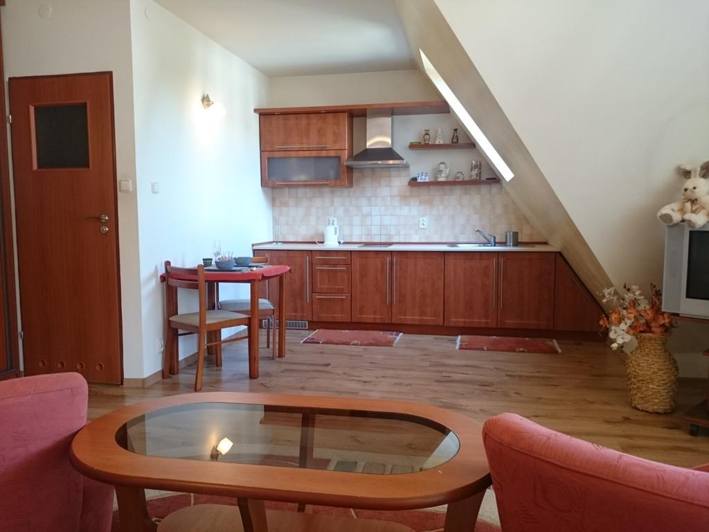 Zakopane - Apartament Z Widokiem 外观 照片